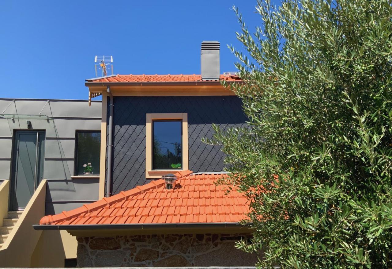 Casa Da Zefinha, Em Cinfaes, No Douro Apartment ภายนอก รูปภาพ
